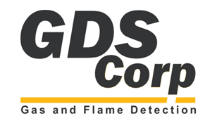 GDS Corp logo